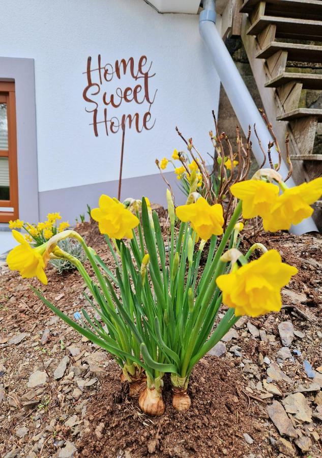 Daffodils Βίλα Enscherange Εξωτερικό φωτογραφία